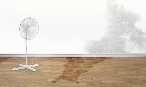 Best Emergency water damage restoration  in Pleak, TX