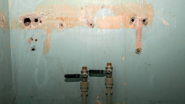 Best Water damage restoration near me  in Pleak, TX